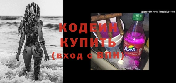 шишки Новозыбков