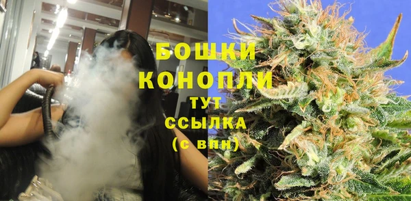 твердый Аркадак