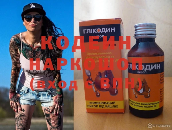 шишки Новозыбков