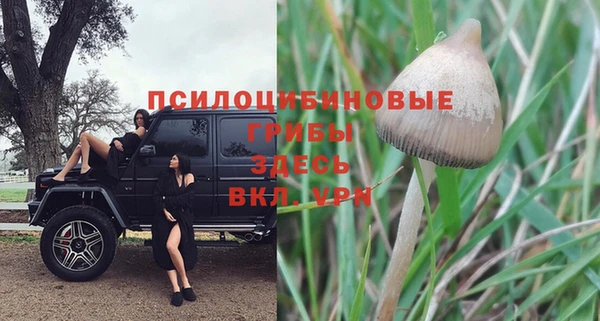 spice Армянск