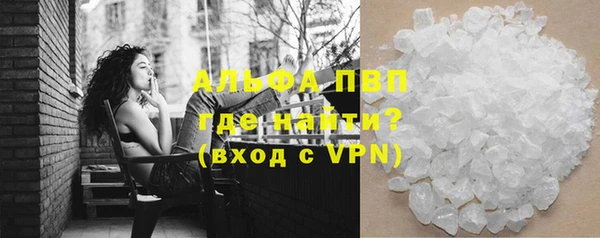 стаф Арсеньев